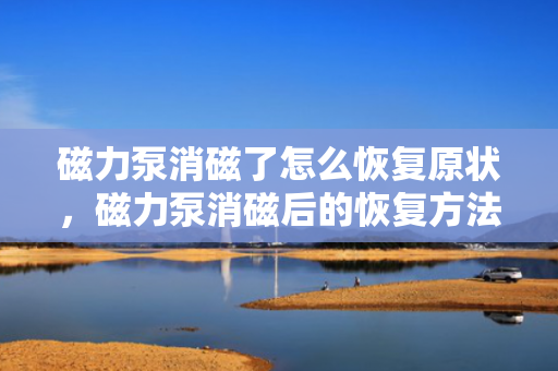 磁力泵消磁了怎么恢复原状，磁力泵消磁后的恢复方法探讨