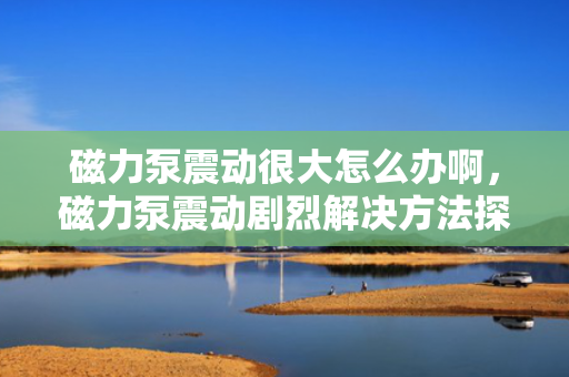 磁力泵震动很大怎么办啊，磁力泵震动剧烈解决方法探讨