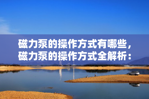 磁力泵的操作方式有哪些，磁力泵的操作方式全解析：从启动到运行一步到位