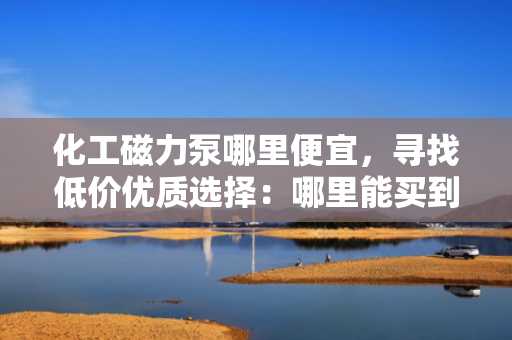 化工磁力泵哪里便宜，寻找低价优质选择：哪里能买到性价比高的化工磁力泵