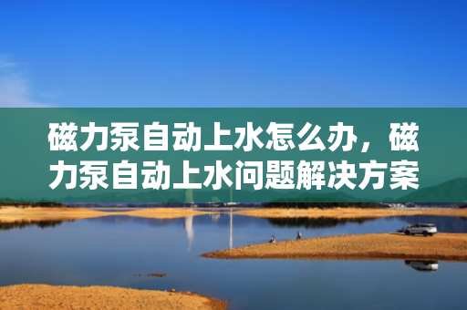 磁力泵自动上水怎么办，磁力泵自动上水问题解决方案