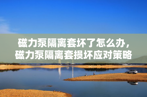 磁力泵隔离套坏了怎么办，磁力泵隔离套损坏应对策略
