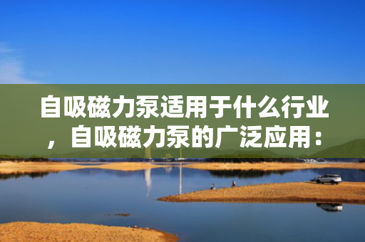 自吸磁力泵适用于什么行业，自吸磁力泵的广泛应用：适用于多个行业的理想选择