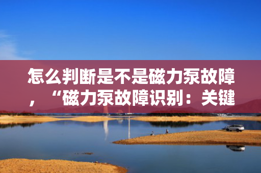 怎么判断是不是磁力泵故障，“磁力泵故障识别：关键指标与判断方法”