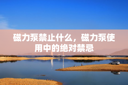 磁力泵禁止什么，磁力泵使用中的绝对禁忌