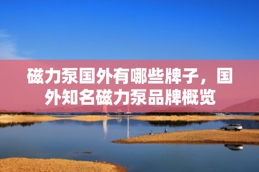 磁力泵国外有哪些牌子，国外知名磁力泵品牌概览