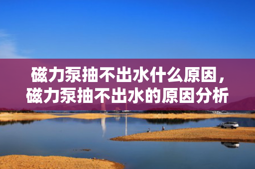 磁力泵抽不出水什么原因，磁力泵抽不出水的原因分析