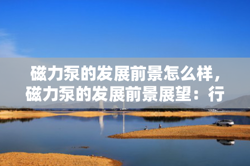 磁力泵的发展前景怎么样，磁力泵的发展前景展望：行业趋势与市场潜力分析