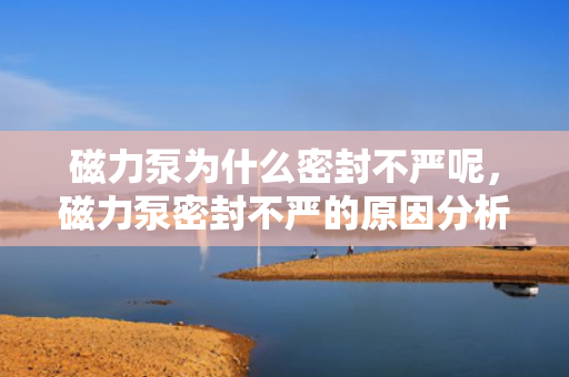 磁力泵为什么密封不严呢，磁力泵密封不严的原因分析