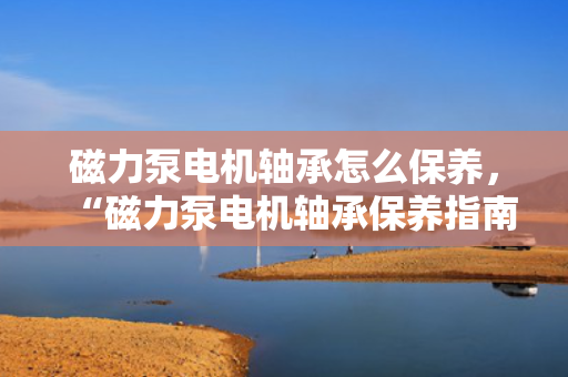 磁力泵电机轴承怎么保养，“磁力泵电机轴承保养指南：关键步骤与实用技巧”