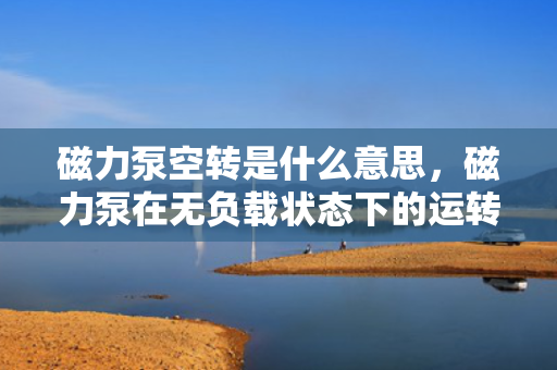 磁力泵空转是什么意思，磁力泵在无负载状态下的运转：解析空转现象及其影响