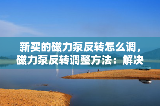 新买的磁力泵反转怎么调，磁力泵反转调整方法：解决新买的磁力泵运行异常的关键步骤