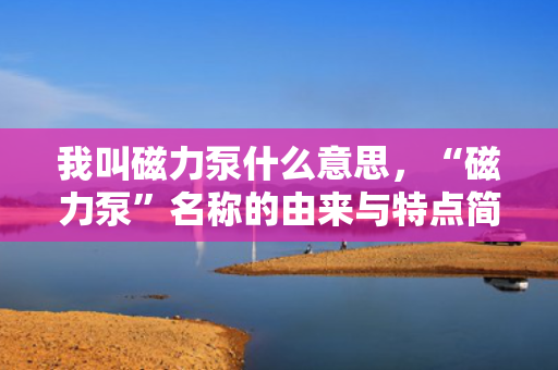 我叫磁力泵什么意思，“磁力泵”名称的由来与特点简析