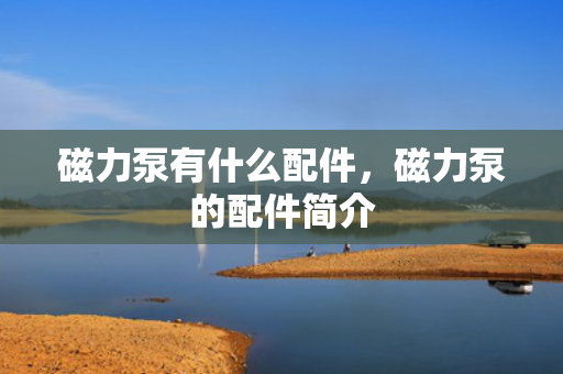 磁力泵有什么配件，磁力泵的配件简介
