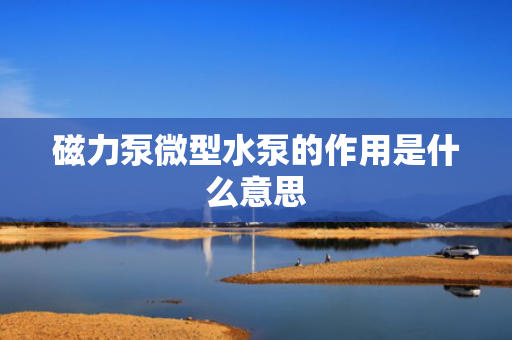 磁力泵微型水泵的作用是什么意思