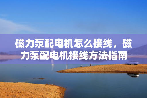 磁力泵配电机怎么接线，磁力泵配电机接线方法指南