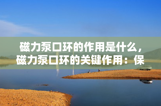 磁力泵口环的作用是什么，磁力泵口环的关键作用：保障密封性与运行效率