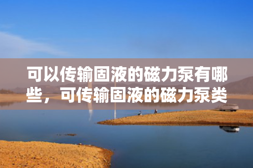可以传输固液的磁力泵有哪些，可传输固液的磁力泵类型概览