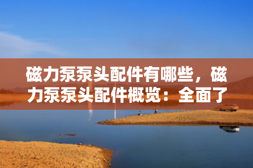 磁力泵泵头配件有哪些，磁力泵泵头配件概览：全面了解关键组件