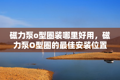 磁力泵o型圈装哪里好用，磁力泵O型圈的最佳安装位置及应用优势解析