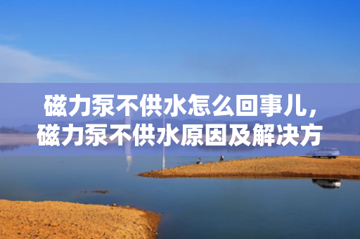 磁力泵不供水怎么回事儿，磁力泵不供水原因及解决方法