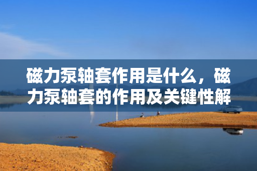 磁力泵轴套作用是什么，磁力泵轴套的作用及关键性解析