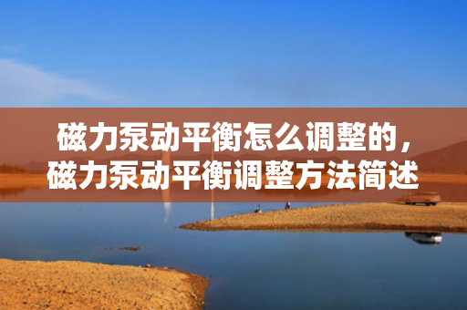 磁力泵动平衡怎么调整的，磁力泵动平衡调整方法简述