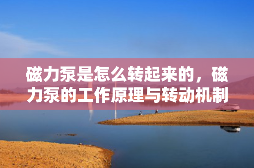 磁力泵是怎么转起来的，磁力泵的工作原理与转动机制解析