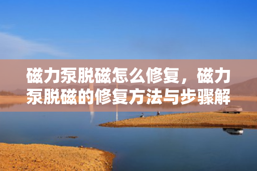 磁力泵脱磁怎么修复，磁力泵脱磁的修复方法与步骤解析