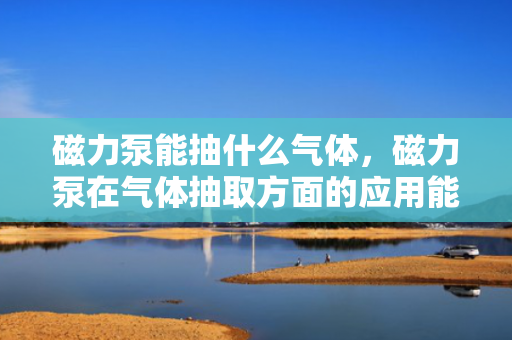 磁力泵能抽什么气体，磁力泵在气体抽取方面的应用能力及限制解析