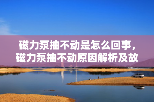 磁力泵抽不动是怎么回事，磁力泵抽不动原因解析及故障排除方法