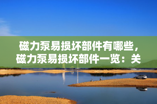 磁力泵易损坏部件有哪些，磁力泵易损坏部件一览：关键组件与维护要点解析