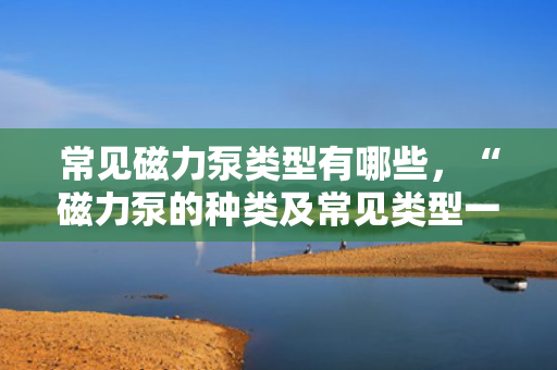 常见磁力泵类型有哪些，“磁力泵的种类及常见类型一览”