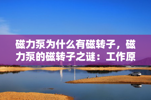 磁力泵为什么有磁转子，磁力泵的磁转子之谜：工作原理与核心构造解析