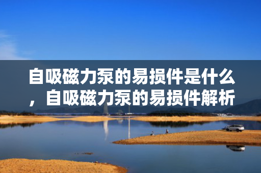 自吸磁力泵的易损件是什么，自吸磁力泵的易损件解析：关键部件与维护要点