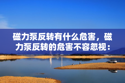 磁力泵反转有什么危害，磁力泵反转的危害不容忽视：性能受损与潜在安全隐患