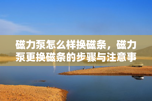 磁力泵怎么样换磁条，磁力泵更换磁条的步骤与注意事项