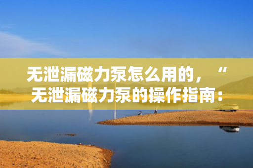 无泄漏磁力泵怎么用的，“无泄漏磁力泵的操作指南：简单易懂的使用方法”