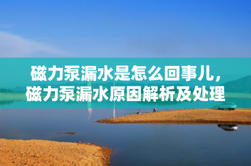 磁力泵漏水是怎么回事儿，磁力泵漏水原因解析及处理方法
