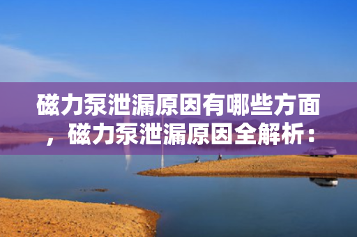 磁力泵泄漏原因有哪些方面，磁力泵泄漏原因全解析：从设计、材料到操作维护的全方位探讨