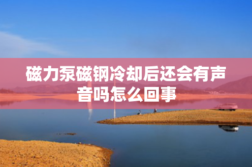 磁力泵磁钢冷却后还会有声音吗怎么回事