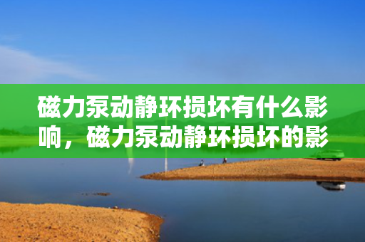 磁力泵动静环损坏有什么影响，磁力泵动静环损坏的影响分析