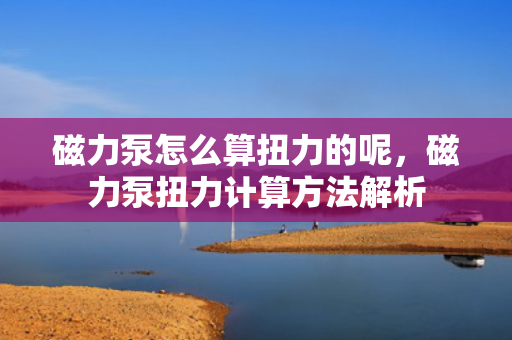 磁力泵怎么算扭力的呢，磁力泵扭力计算方法解析