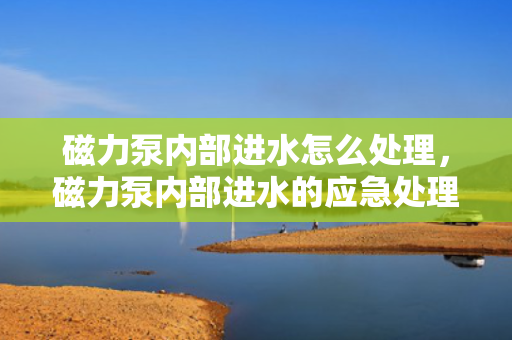 磁力泵内部进水怎么处理，磁力泵内部进水的应急处理方法