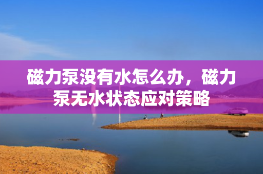 磁力泵没有水怎么办，磁力泵无水状态应对策略