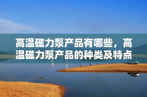 高温磁力泵产品有哪些，高温磁力泵产品的种类及特点概览