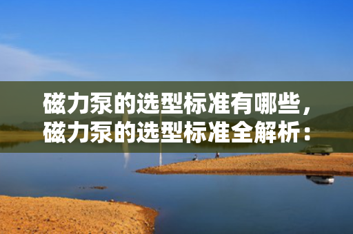磁力泵的选型标准有哪些，磁力泵的选型标准全解析：从性能到应用，一文掌握关键要点