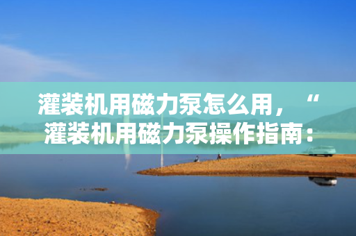 灌装机用磁力泵怎么用，“灌装机用磁力泵操作指南：简单步骤确保高效运行”