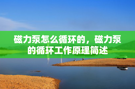 磁力泵怎么循环的，磁力泵的循环工作原理简述
