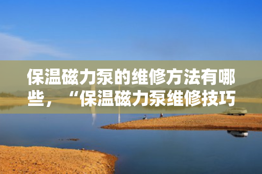保温磁力泵的维修方法有哪些，“保温磁力泵维修技巧全解析”